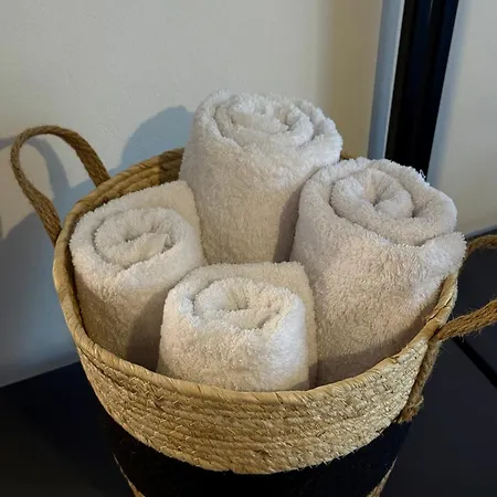 招待所 Shtepia Me Lule 3*