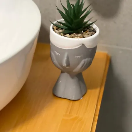 Shtepia Me Lule בית הארחה Përmet