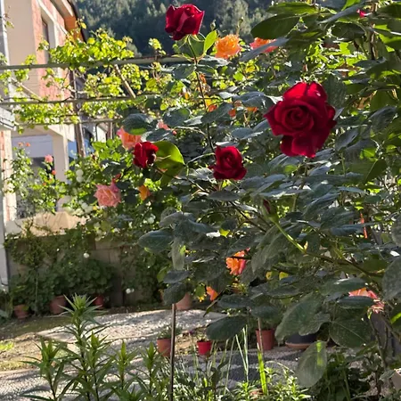 Shtepia Me Lule 3* Përmet