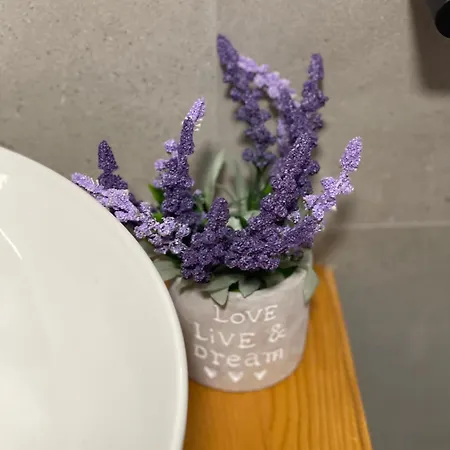 بيت ضيافة Shtepia Me Lule