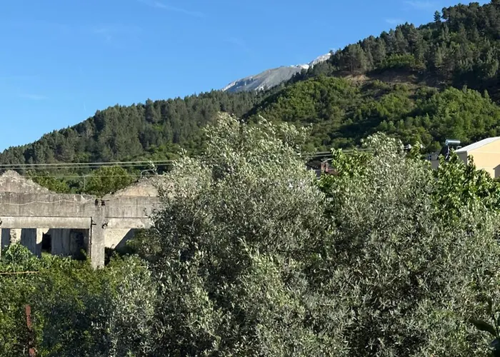 게스트하우스 Shtepia Me Lule 3*