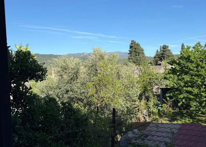 Shtepia Me Lule 게스트하우스 Përmet