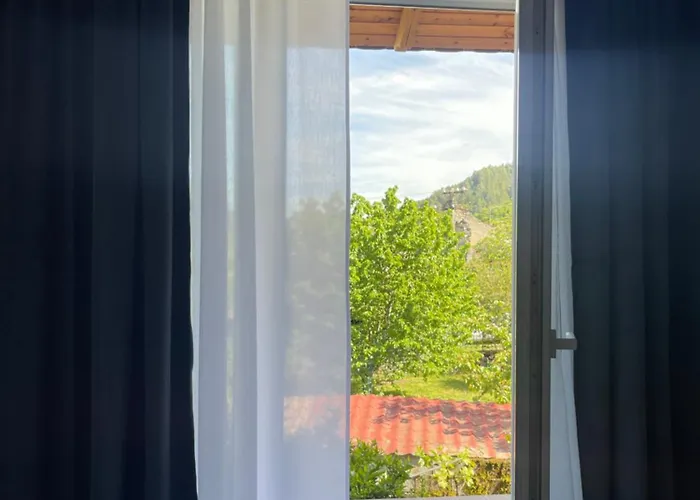 게스트하우스 Shtepia Me Lule 3*