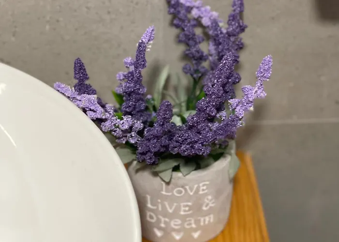 게스트하우스 Shtepia Me Lule